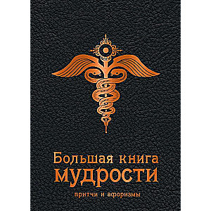 Большая книга мудрости 