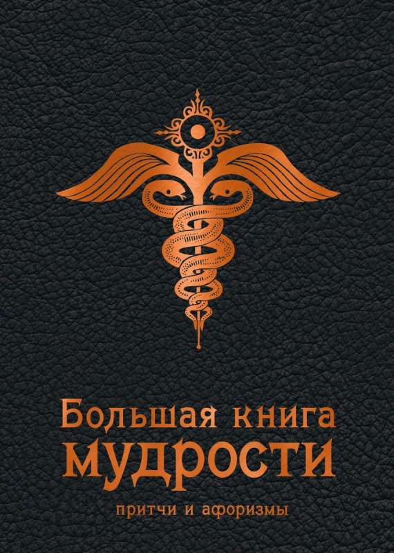 Большая книга мудрости 