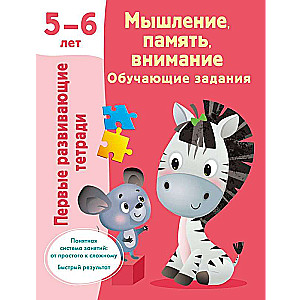 Мышление, память, внимание. Обучающие задания. 5-6 лет