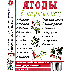 Ягоды в картинках. Наглядное пособие для педагогов, логопедов, воспитателей и родителей