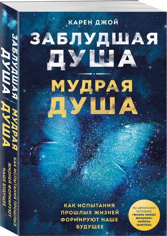 Заблудшая душа - мудрая душа. Как испытания прошлых жизней формируют наше будущее