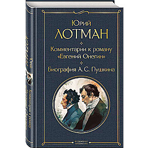 Комментарии к роману «Евгений Онегин». Биография А. С. Пушкина