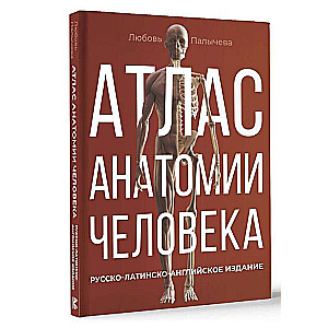 Атлас анатомии человека. Русско-латинско-английское издание