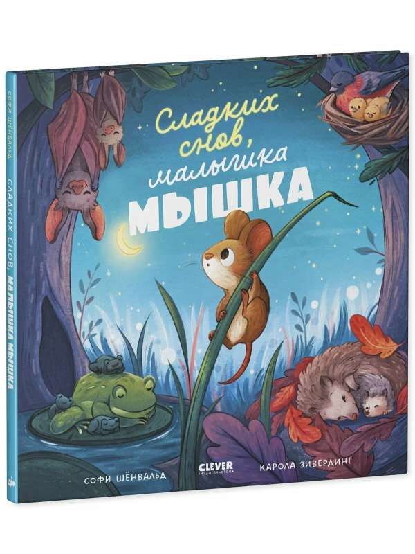 Книжки-картинки. Сладких снов, малышка мышка!