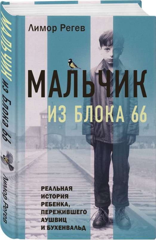 Мальчик из Блока 66. Реальная история ребенка, пережившего Аушвиц и Бухенвальд