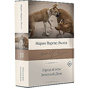 Город и псы. Зеленый Дом