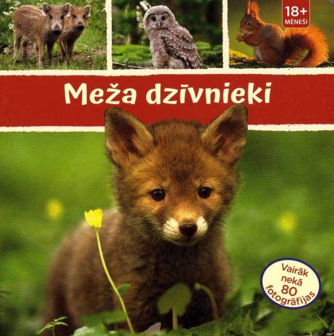 Meža dzīvnieki