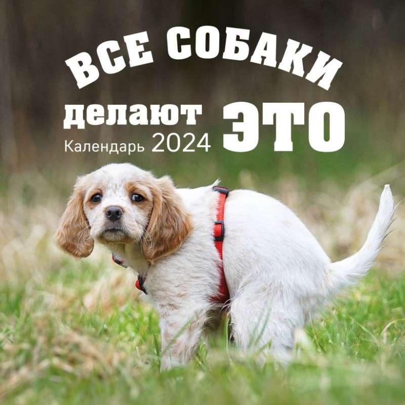 Все собаки делают это. Календарь настенный на 2024 год 300х300