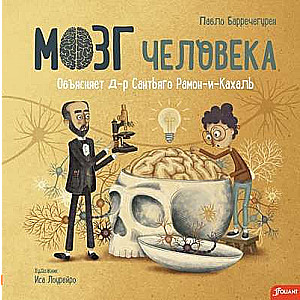 Мозг человека 