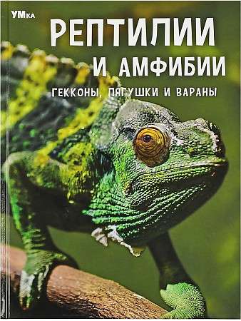 Рептилии и амфибии. Гекконы, лягушки и вараны. Энциклопедия