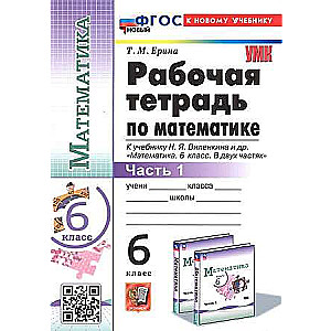 Математика. 6 класс. Рабочая тетрадь к учебнику Н. Я. Виленкина и другие. В 2-х частях. Часть 1.