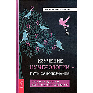 Изучение нумерологии - путь самопознания. Руководство для начинающих 