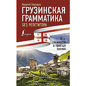 Грузинская грамматика без репетитора. Все сложности в простых схемах