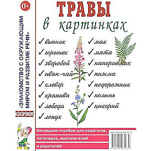 Травы в картинках. Наглядное пособие для логопедов, педагогов, воспитателей и родителей