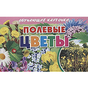 Полевые цветы