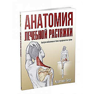 Анатомия лечебной растяжки: быстрое избавление от боли и профилактика травм