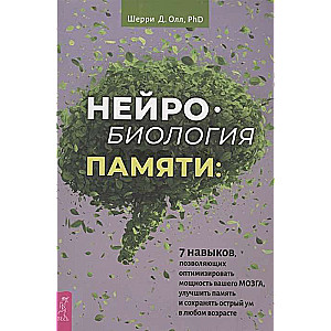 Нейробиология памяти: 7 навыков, позволяющих оптимизировать мощность вашего мозга 