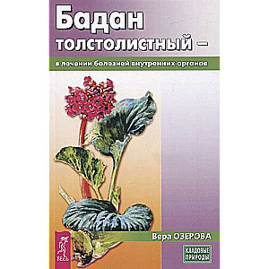 Бадан толстолистный - в лечении болезней внутренних органов 