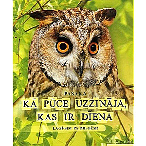 Kā pūce uzzināja, kas ir diena