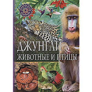 Джунгли. Животные и птицы