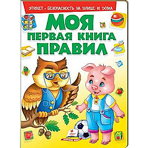 Моя первая книга ПРАВИЛ 