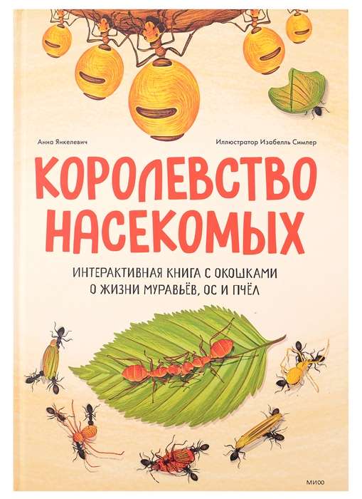 Королевство насекомых. Интерактивная книга с окошками о жизни муравьёв, ос и пчёл