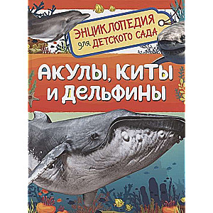 Акулы, киты и дельфины