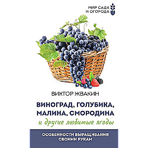 Виноград, голубика, малина, смородина и другие любимые ягоды. Особенности выращивания своими руками