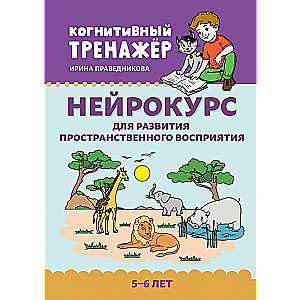 Нейрокурс для развития пространственного восприятия: 5-6 лет