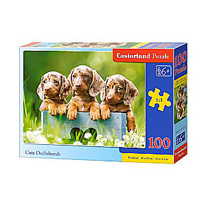 Пазл Cute Dachshunds 100 дет.