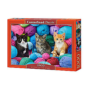 Пазл Kittens in Yarn Store 1000 дет.