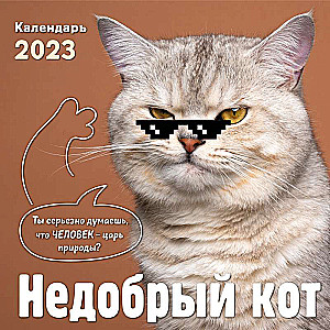 Недобрый кот. Календарь настенный на 2023 год 300х300