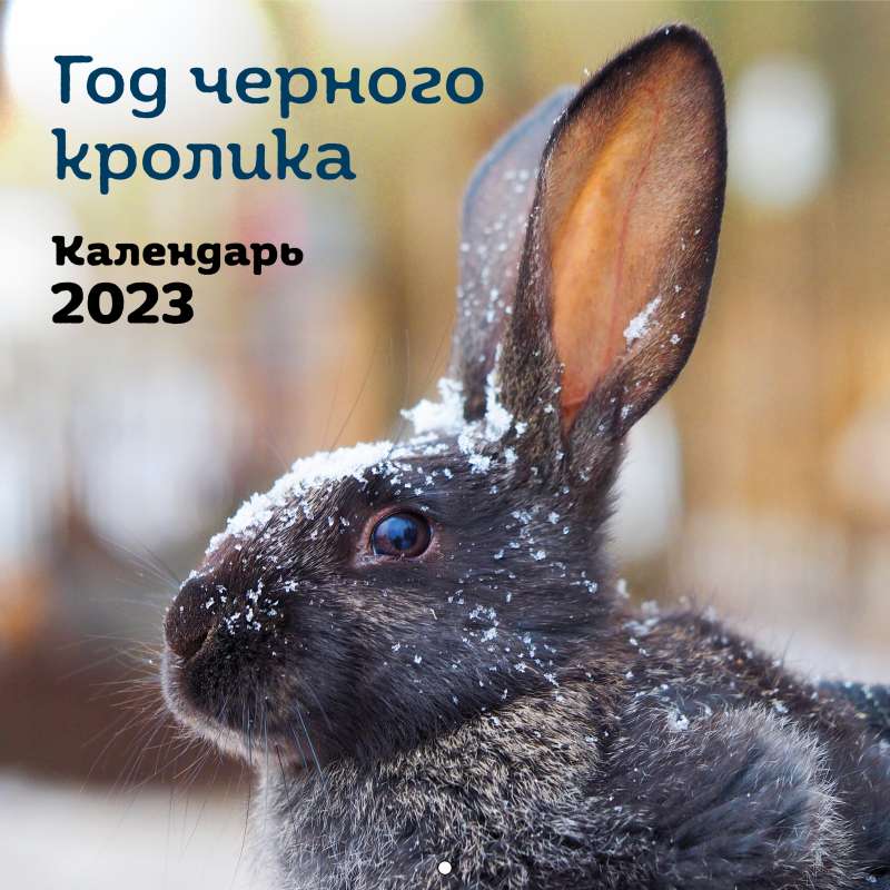 Год черного кролика. Календарь настенный на 2023 год 300х300