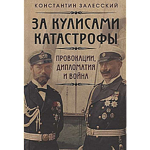 За кулисами катастрофы. Провокации, дипломатия