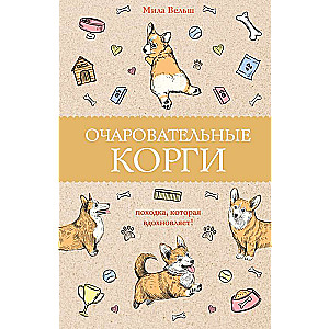 Очаровательные корги: походка, которая вдохновляет!