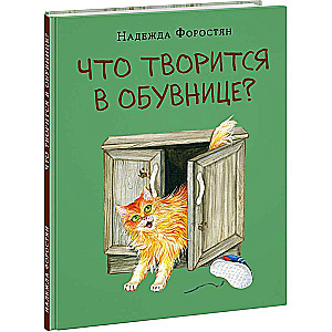 Что творится в обувнице? 