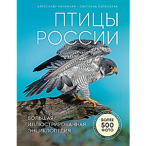 Птицы России. Большая иллюстрированная энциклопедия