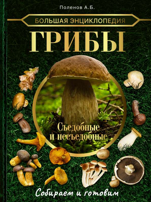 Большая энциклопедия. Грибы. Съедобные и несъедобные. Собираем и готовим.