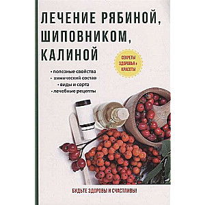 Лечение рябиной, шиповником, калиной