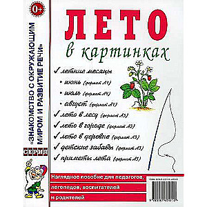 Лето в картинках. Наглядное пособие для педагогов, логопедов, воспитателей, родителей