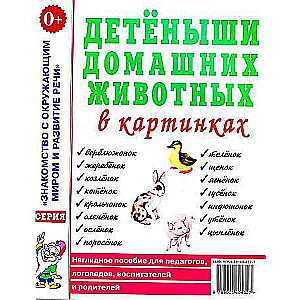 Детёныши домашних животных в картинках. Наглядное пособие для педагогов, логопедов, воспитателей