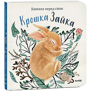 Крошка Зайка