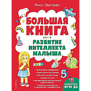 Большая книга. Развитие интеллекта малыша