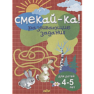 Смекай-ка! Развивающие задания для детей 4-5 лет