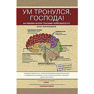 Ум тронулся, господа! Аномалии мозга глазами нейробиолога