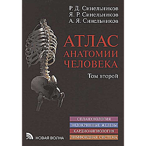 Атлас анатомии человека в 3-х томах. Том 2. Учение о внутренностях, эндокринных железах, сердечно-со