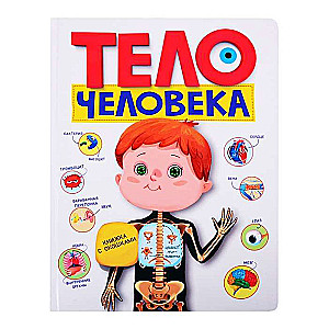 Тело человека