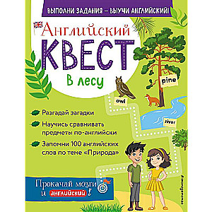 Английский квест. В лесу. Степени сравнения прилагательных и 100 полезных слов