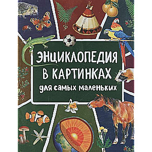 Клюшник Л. В. Энциклопедия в картинках для самых маленьких