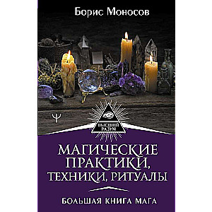 Магические практики, техники, ритуалы. Большая книга мага